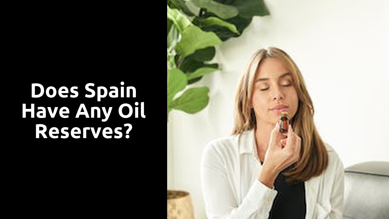 Does Spain have any oil reserves?